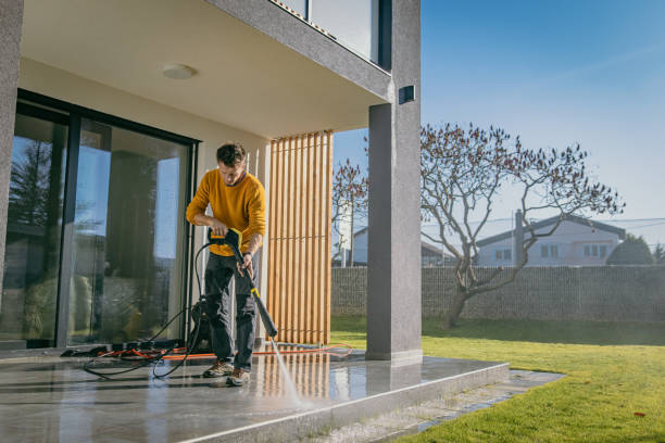 Best Solar Panel Cleaning  in Madison, MN